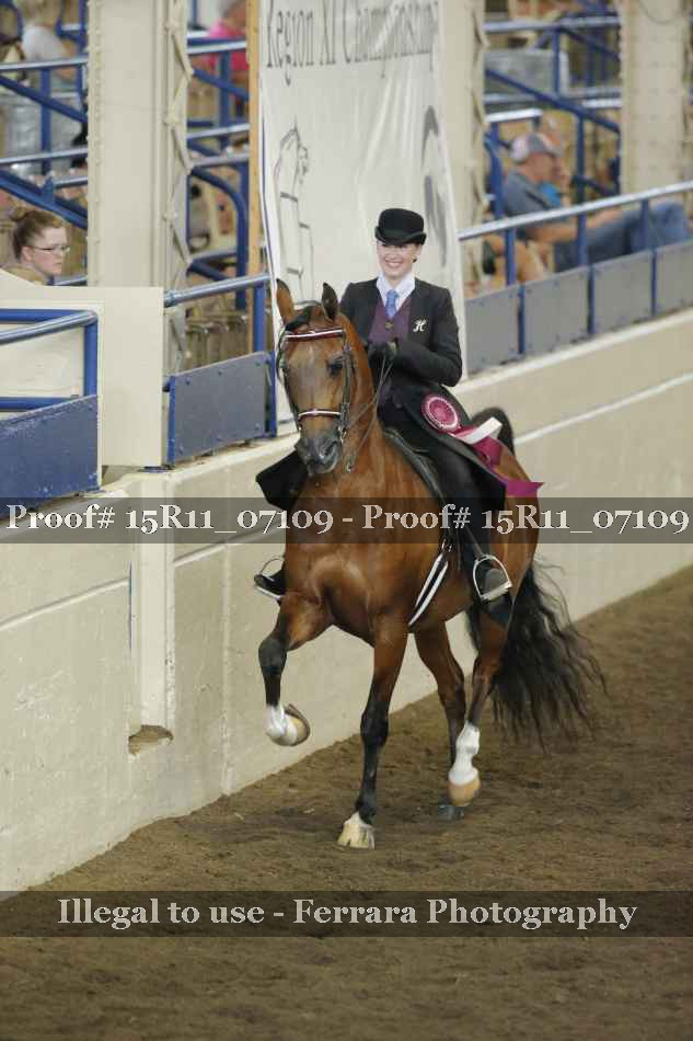 Proof Number 15R11_07109