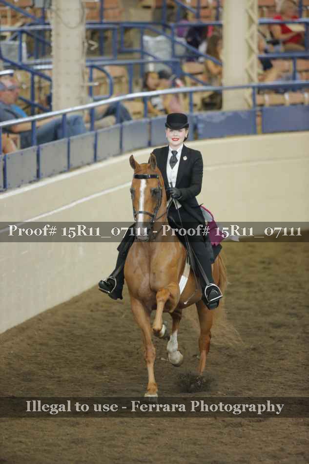 Proof Number 15R11_07111