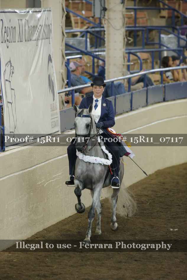 Proof Number 15R11_07117