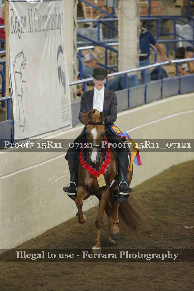 Proof Number 15R11_07121