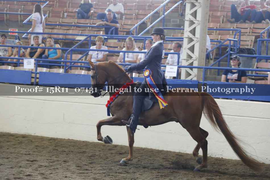 Proof Number 15R11_07131