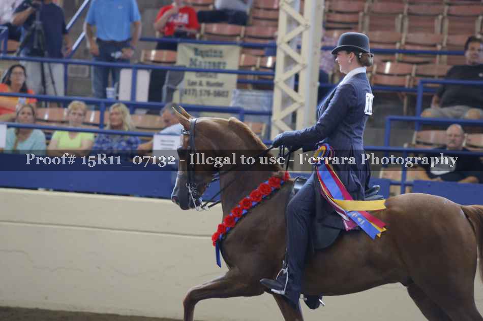 Proof Number 15R11_07132