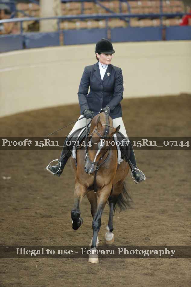 Proof Number 15R11_07144