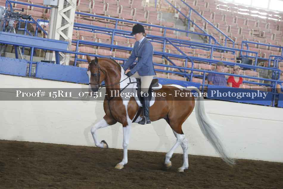 Proof Number 15R11_07151