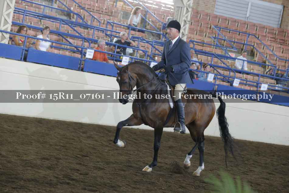 Proof Number 15R11_07161