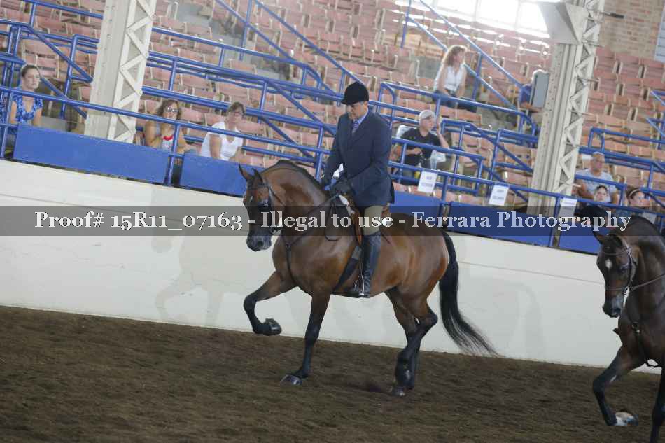 Proof Number 15R11_07163
