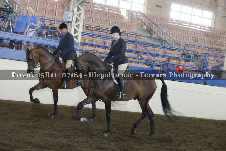 Proof Number 15R11_07164