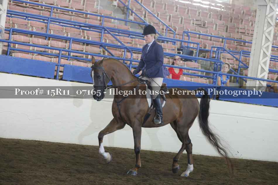 Proof Number 15R11_07165