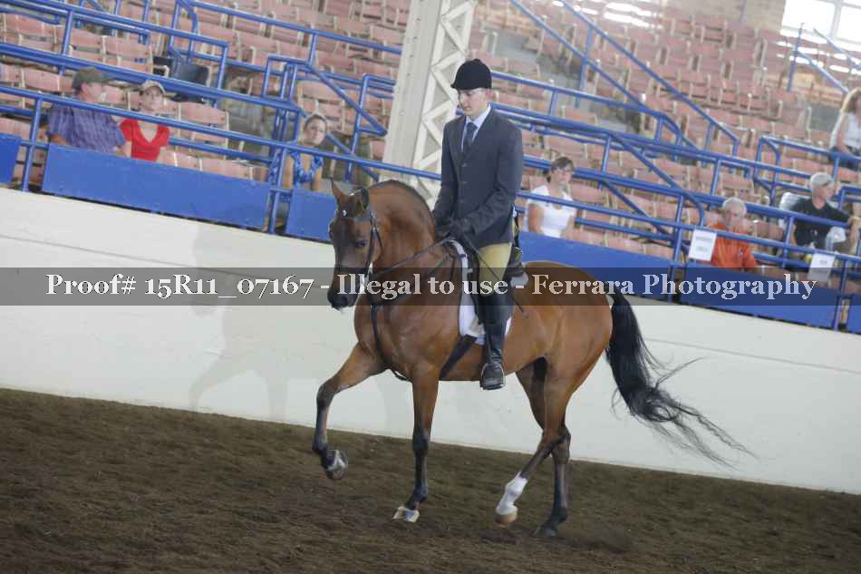 Proof Number 15R11_07167