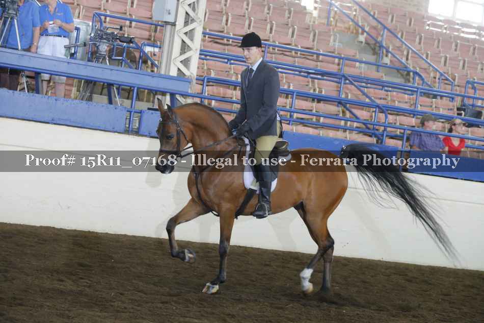 Proof Number 15R11_07168
