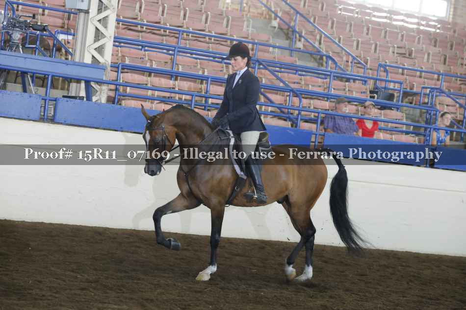 Proof Number 15R11_07169
