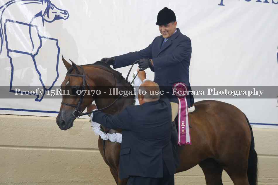 Proof Number 15R11_07170