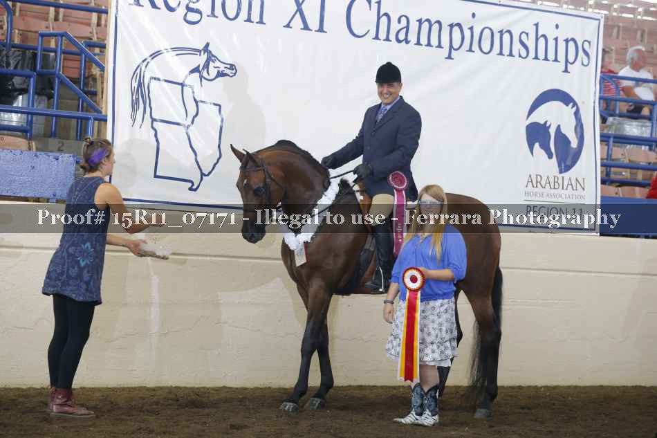 Proof Number 15R11_07171