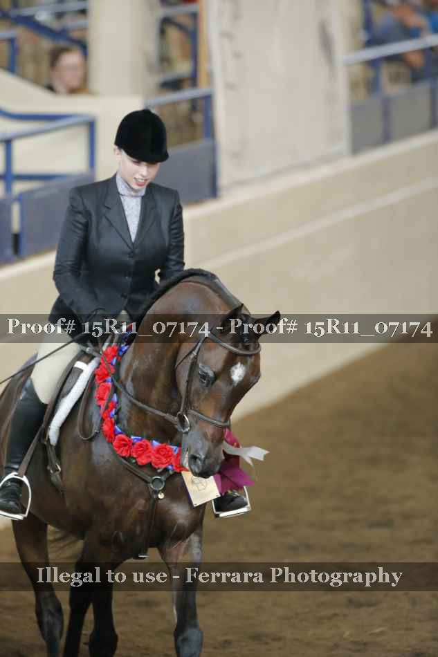 Proof Number 15R11_07174