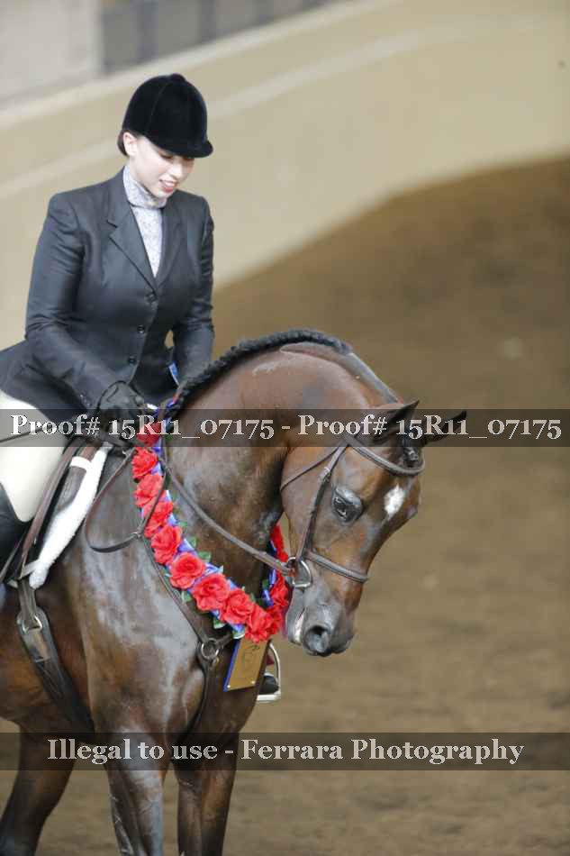 Proof Number 15R11_07175
