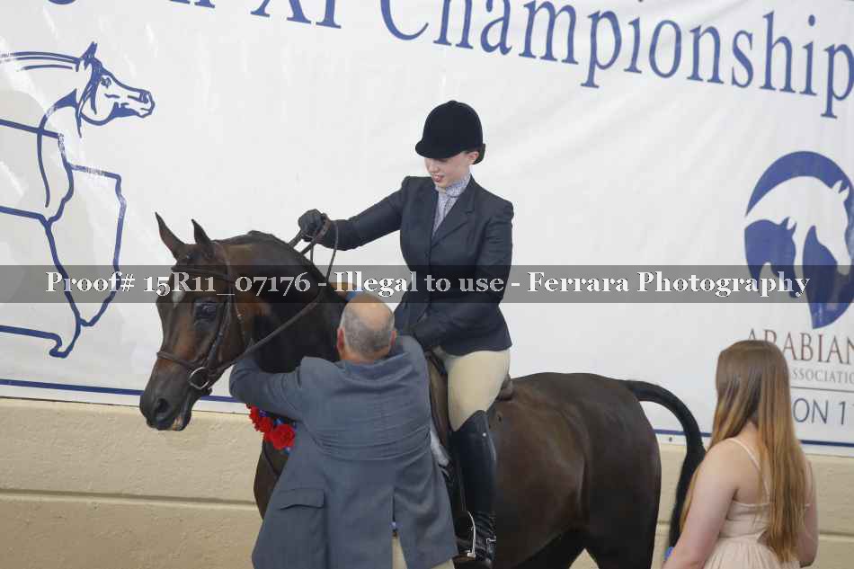 Proof Number 15R11_07176