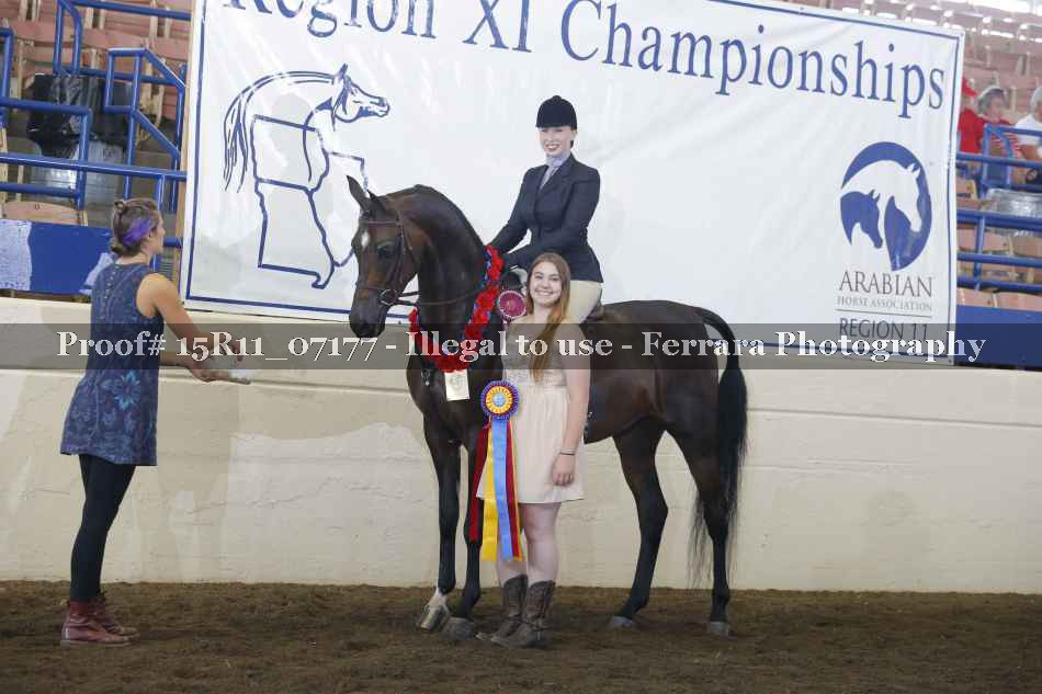 Proof Number 15R11_07177