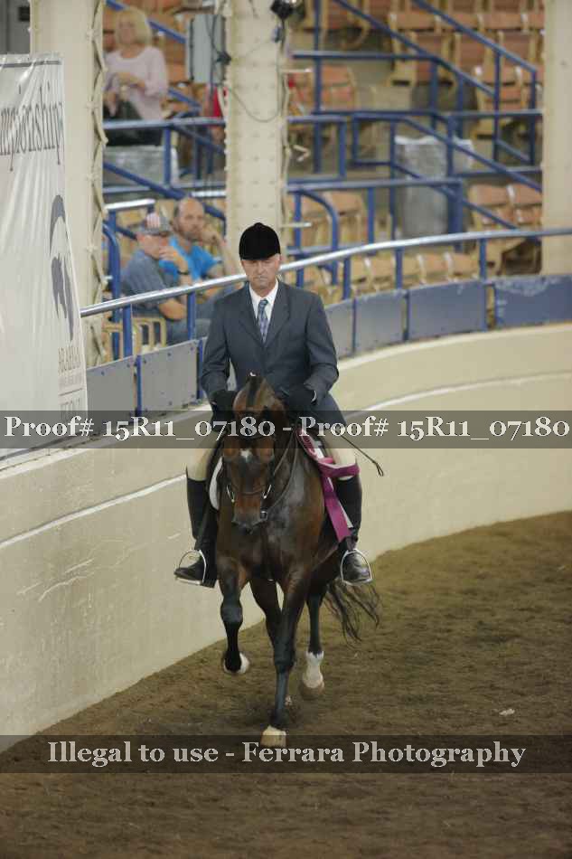 Proof Number 15R11_07180