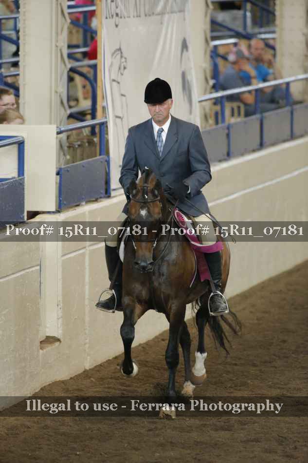 Proof Number 15R11_07181