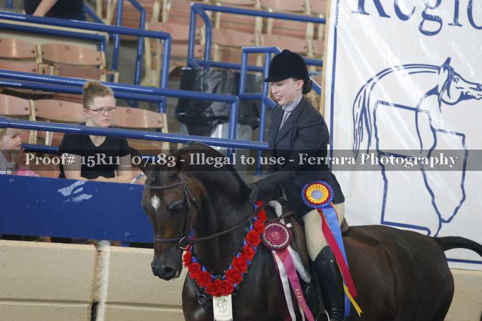 Proof Number 15R11_07183