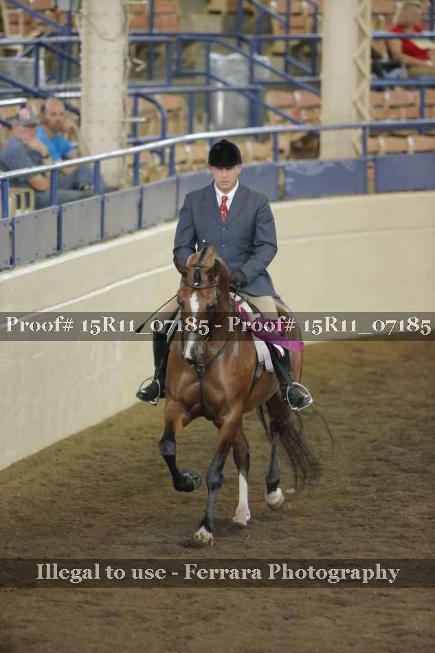 Proof Number 15R11_07185
