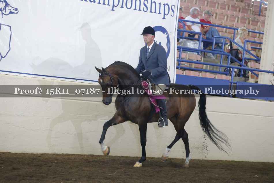 Proof Number 15R11_07187
