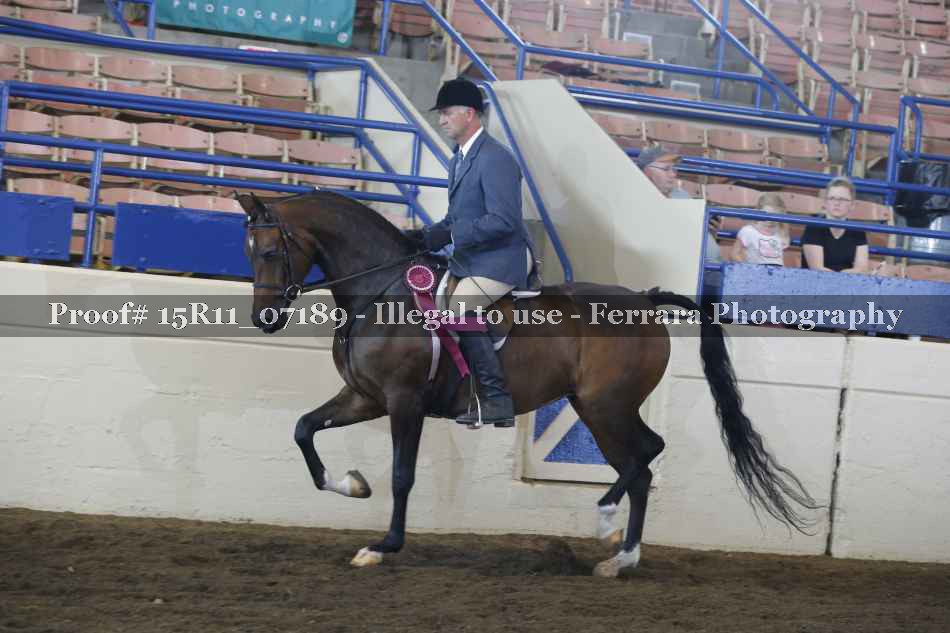 Proof Number 15R11_07189