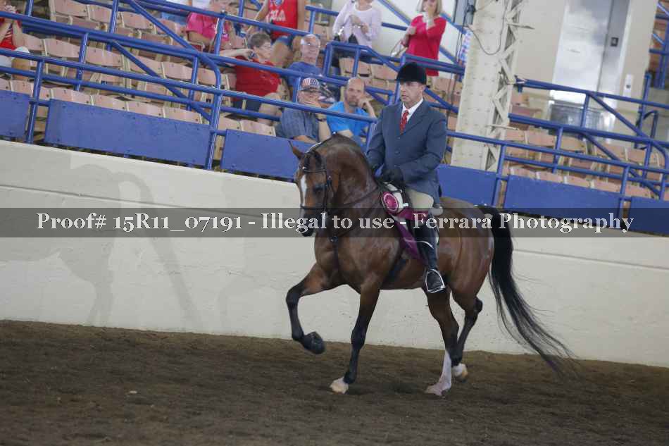 Proof Number 15R11_07191