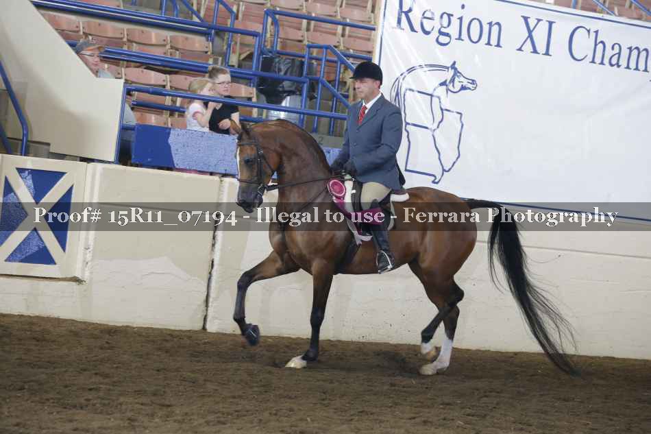 Proof Number 15R11_07194