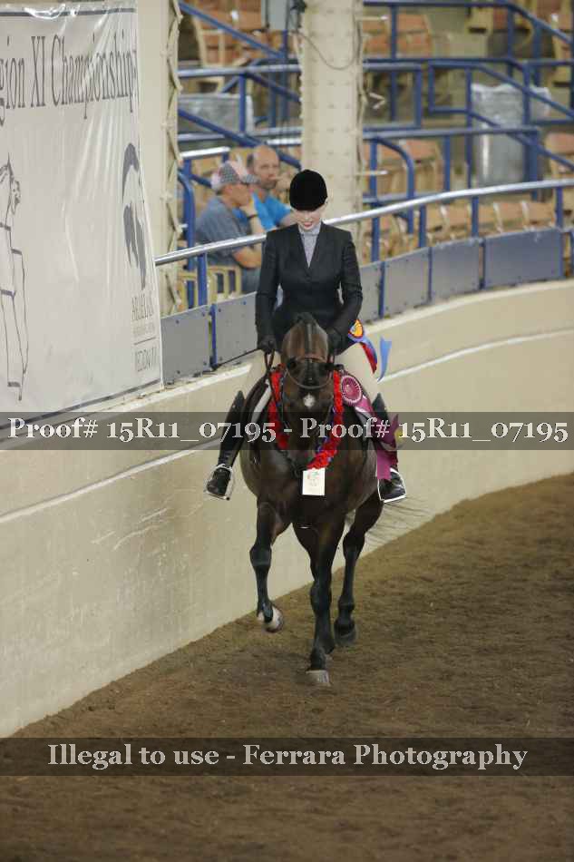 Proof Number 15R11_07195