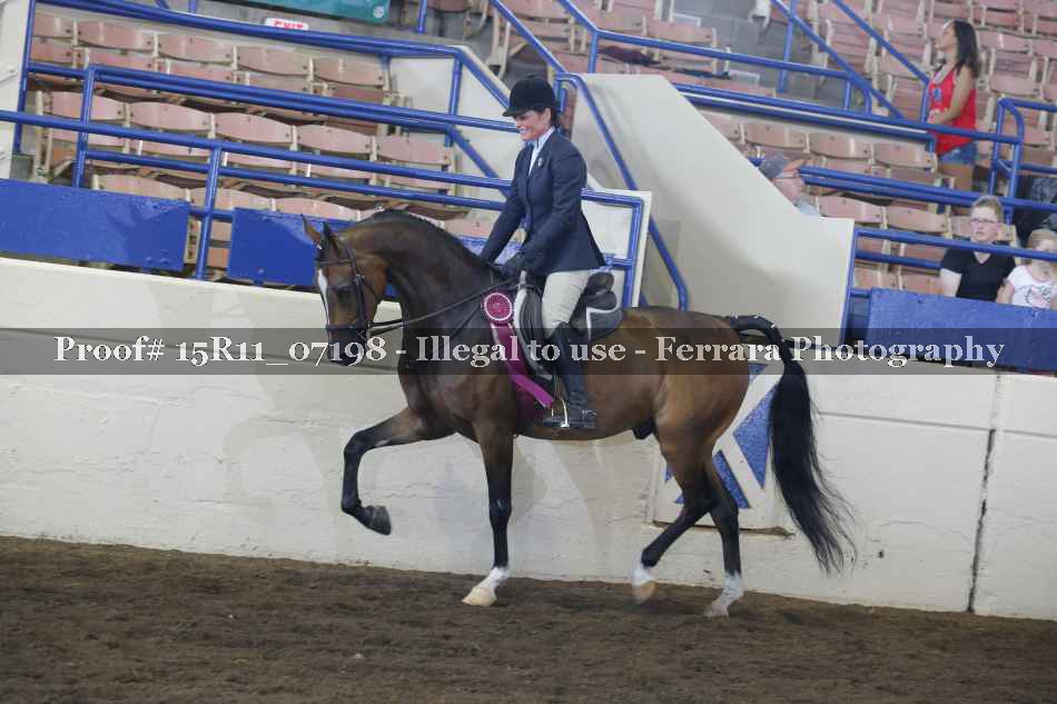 Proof Number 15R11_07198