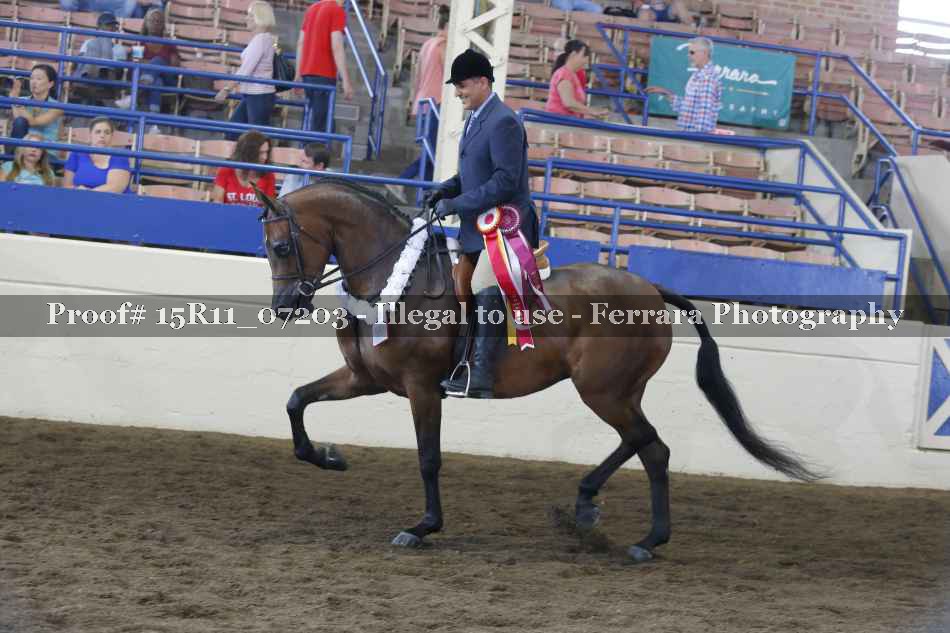 Proof Number 15R11_07203