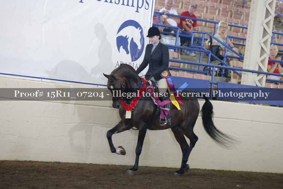 Proof Number 15R11_07204
