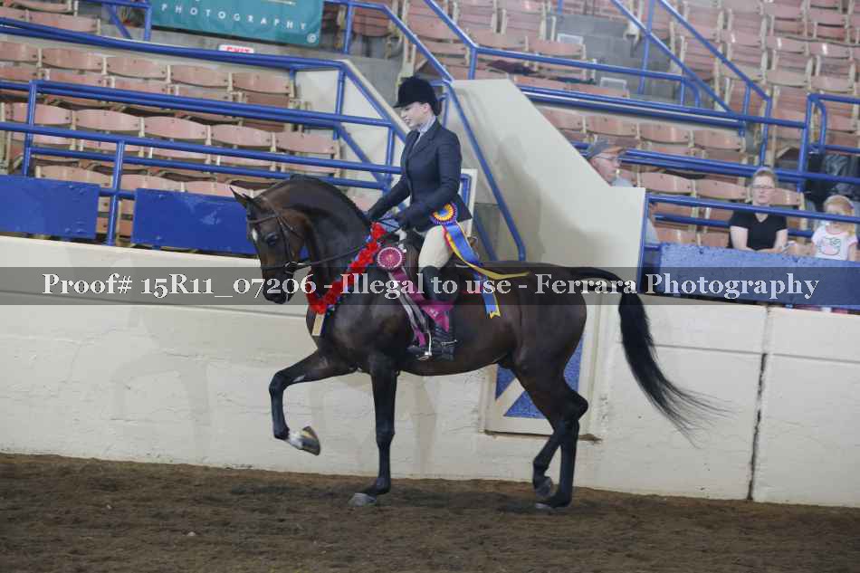 Proof Number 15R11_07206