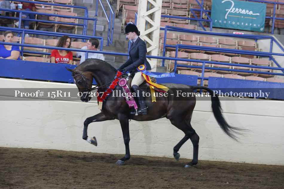 Proof Number 15R11_07207