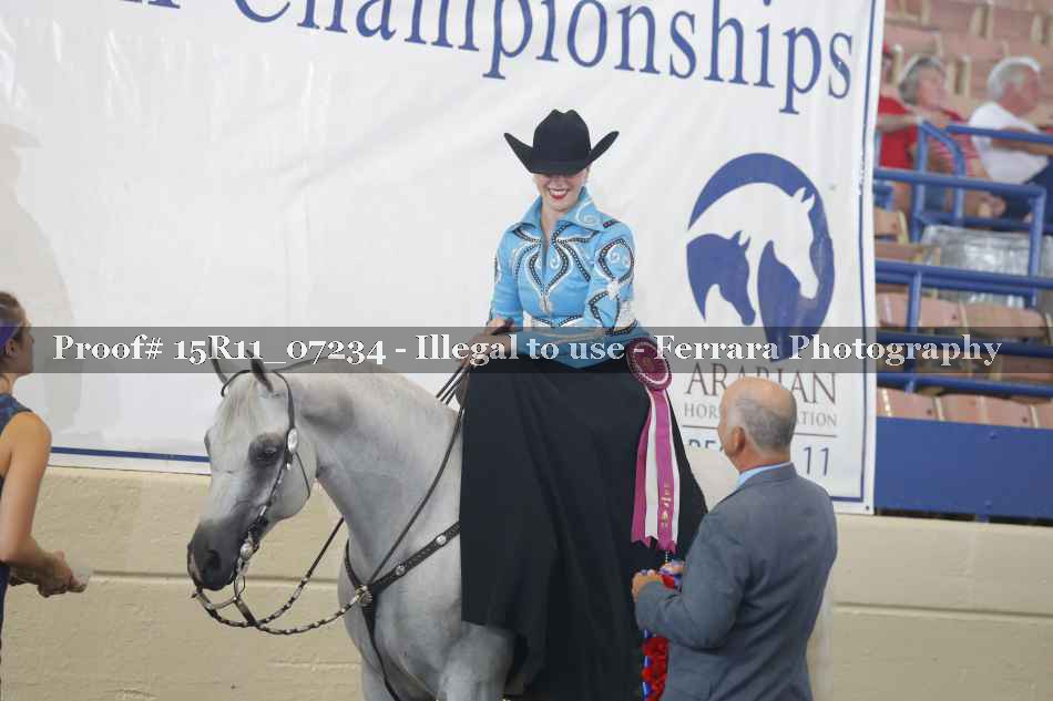 Proof Number 15R11_07234