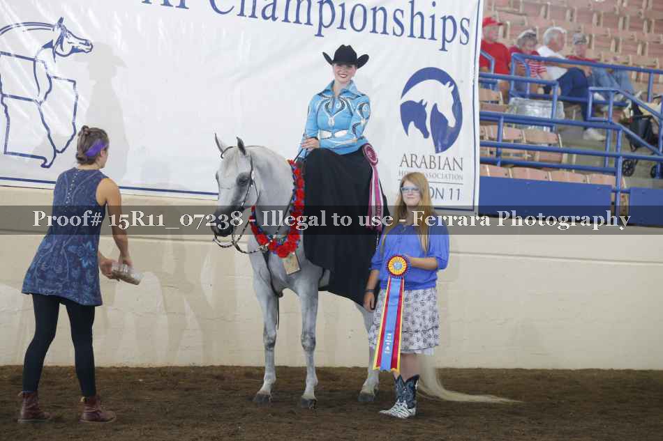 Proof Number 15R11_07238