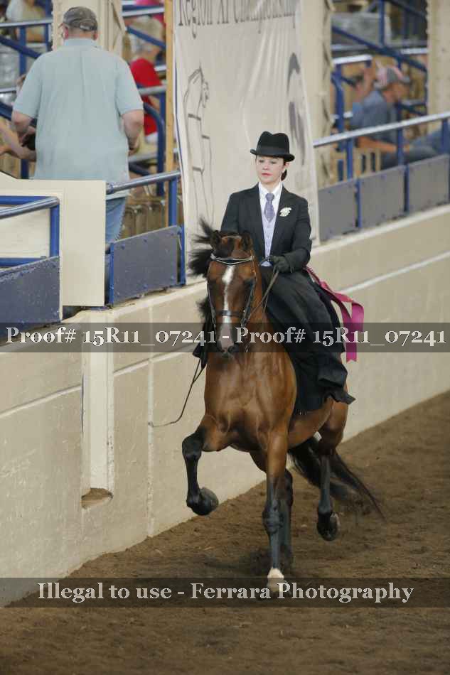 Proof Number 15R11_07241