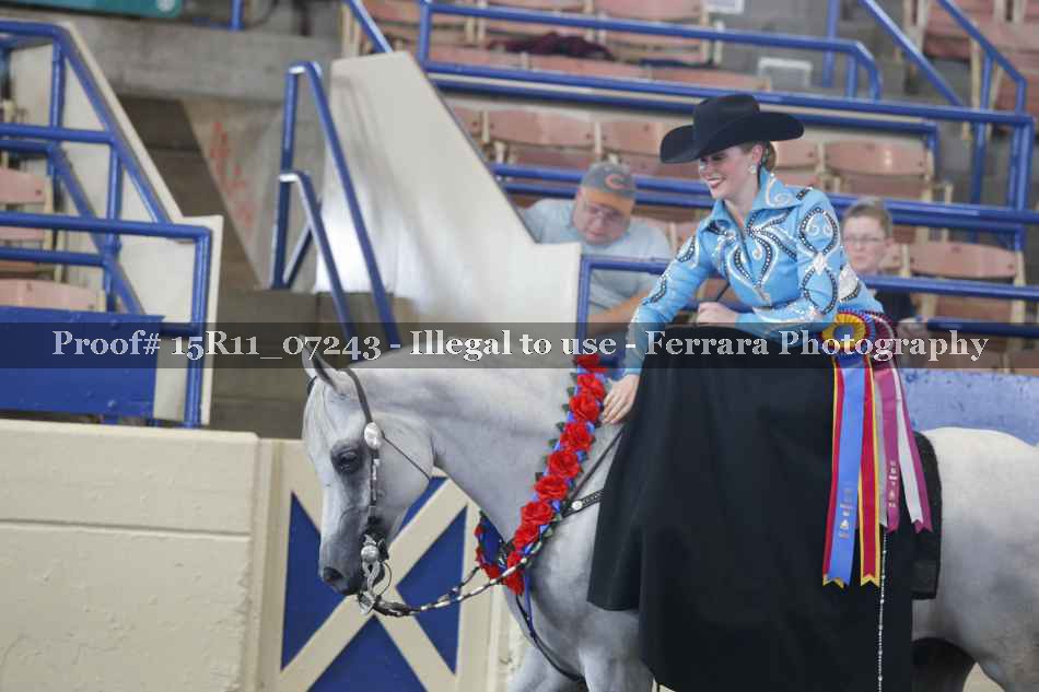 Proof Number 15R11_07243