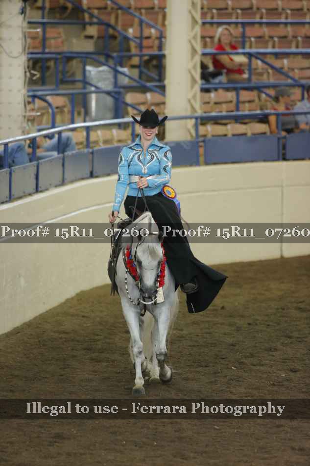 Proof Number 15R11_07260