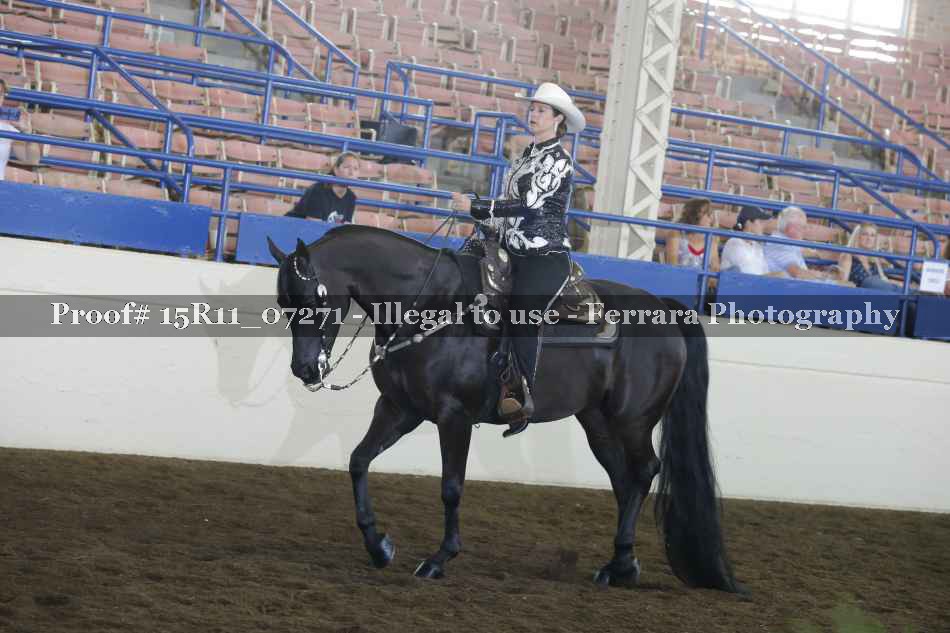 Proof Number 15R11_07271