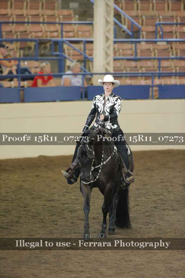 Proof Number 15R11_07273