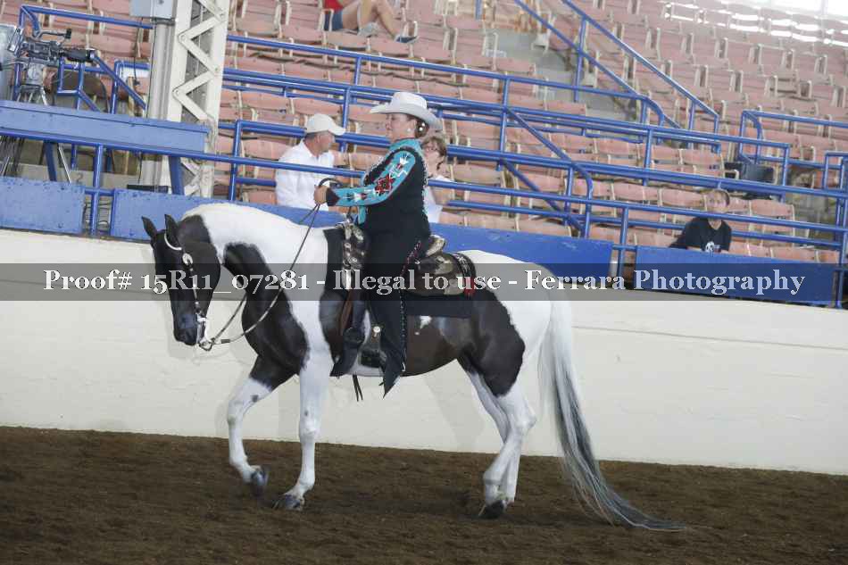 Proof Number 15R11_07281