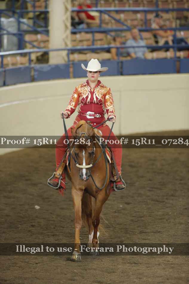 Proof Number 15R11_07284