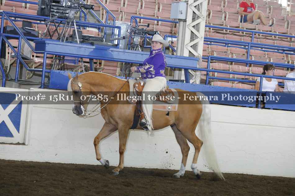Proof Number 15R11_07285