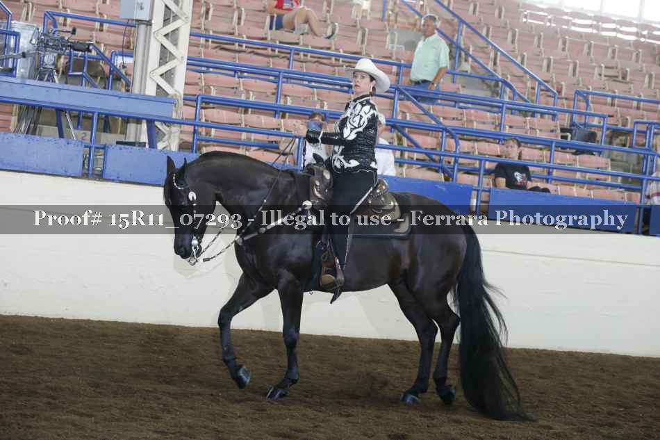 Proof Number 15R11_07293