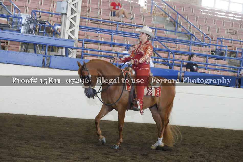 Proof Number 15R11_07296