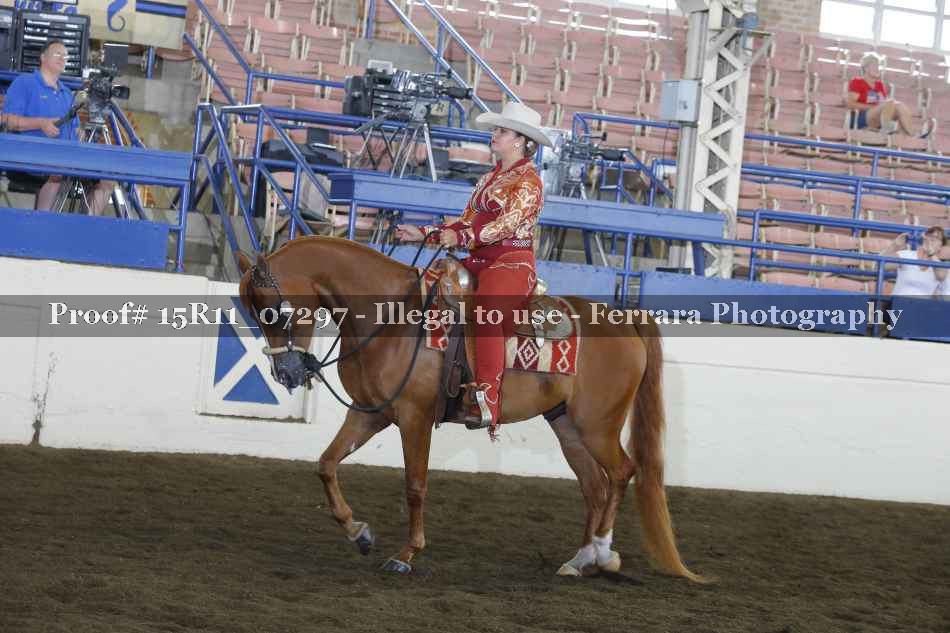 Proof Number 15R11_07297