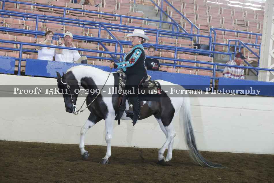 Proof Number 15R11_07299