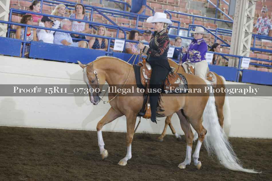 Proof Number 15R11_07300